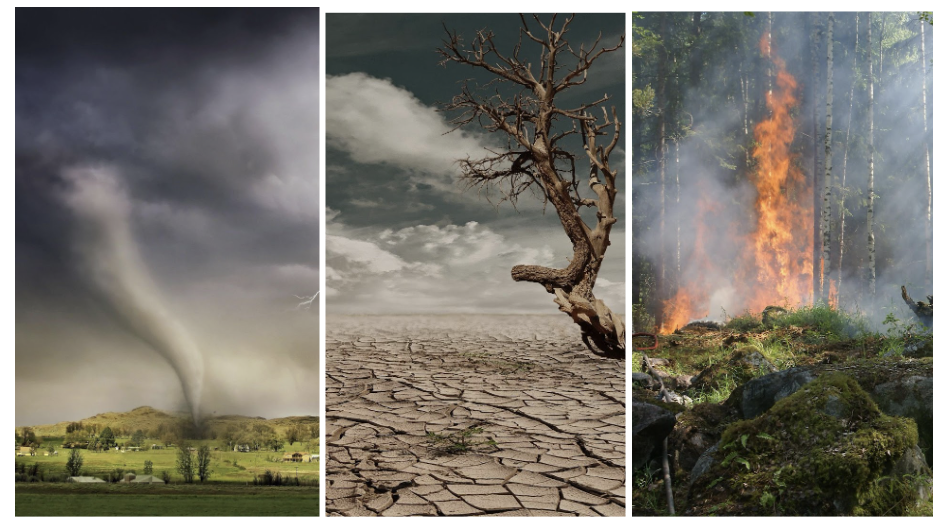 Figure 5 - More frequent wildfires, longer drought periods in some areas, and an increase in the number, severity, and intensity of tropical storms are all possible future impacts of global climate change.